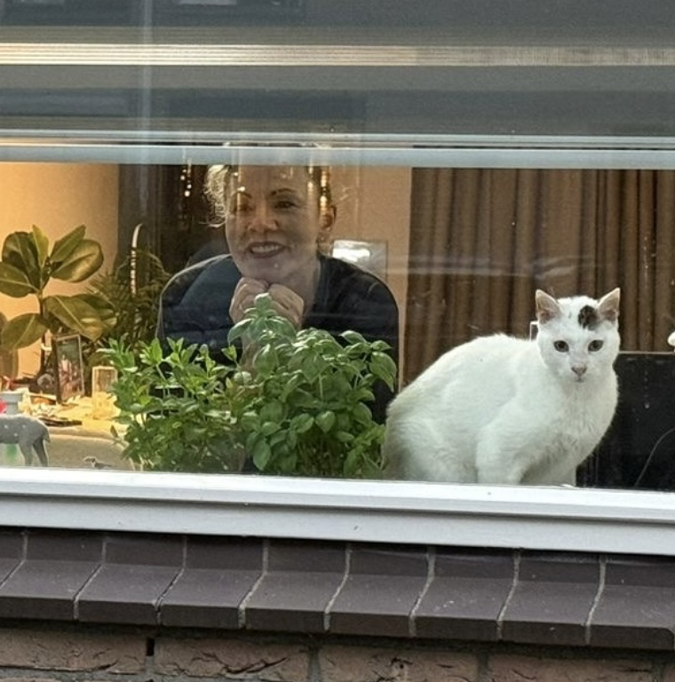 Elena and Bandit looking out of the window together
